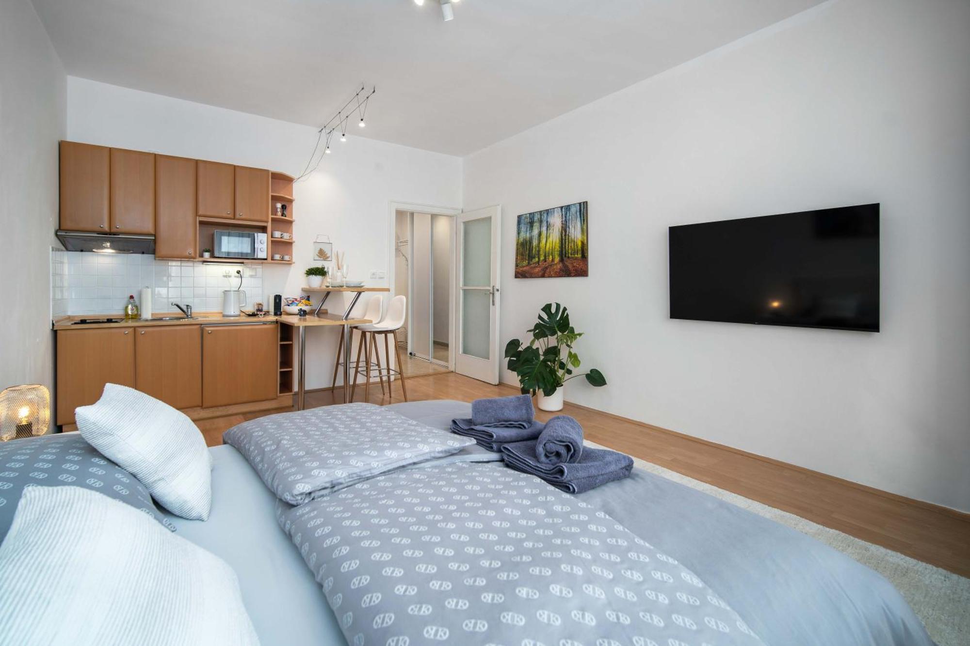 Best Location Apartment Air-Conditioned Bratislava Exteriér fotografie